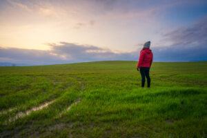 Between Silence and Disclosure: The Fragility of the Inner Life in Modern Culture